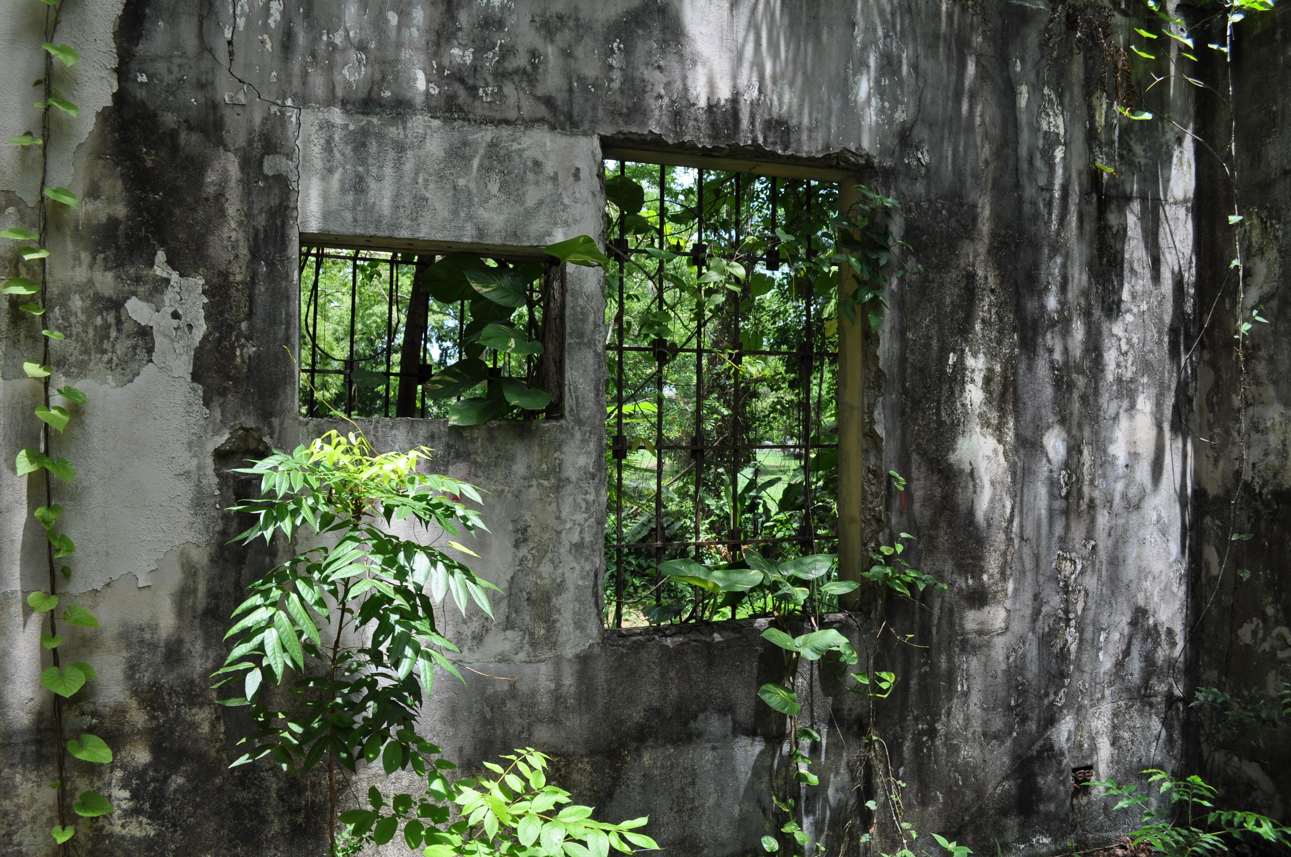 Antigua Lechería y Residencia de la Facultad de la Universidad de Puerto Rico - San Juan (Río Piedras) - 2014 00022